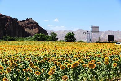 索尼PlayStation新战略：从卖主机到拼月活，瞄准持续盈利